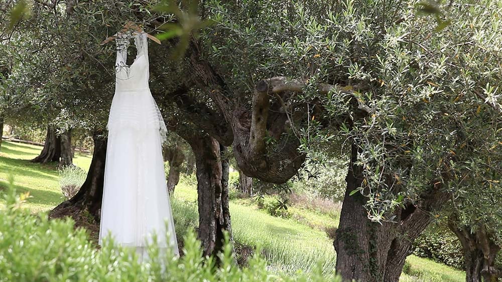 The wedding dress and the secular olive trees of Villa San Crispolto Villa San Crispolto wedding video